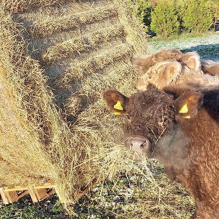 Ferienwohnung Auf Dem Land Dittersbach Exteriör bild