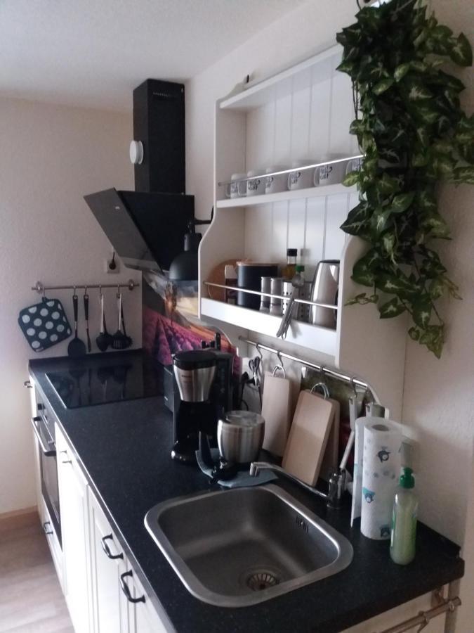 Ferienwohnung Auf Dem Land Dittersbach Exteriör bild